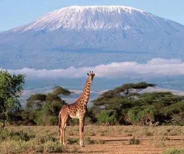 wsi-imageoptim-mt.-kilimanjaro-climbing-safari-370x310