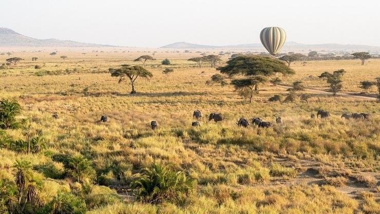 0df3fad4-01d2-4c0d-a38f-465c85dbe3d2